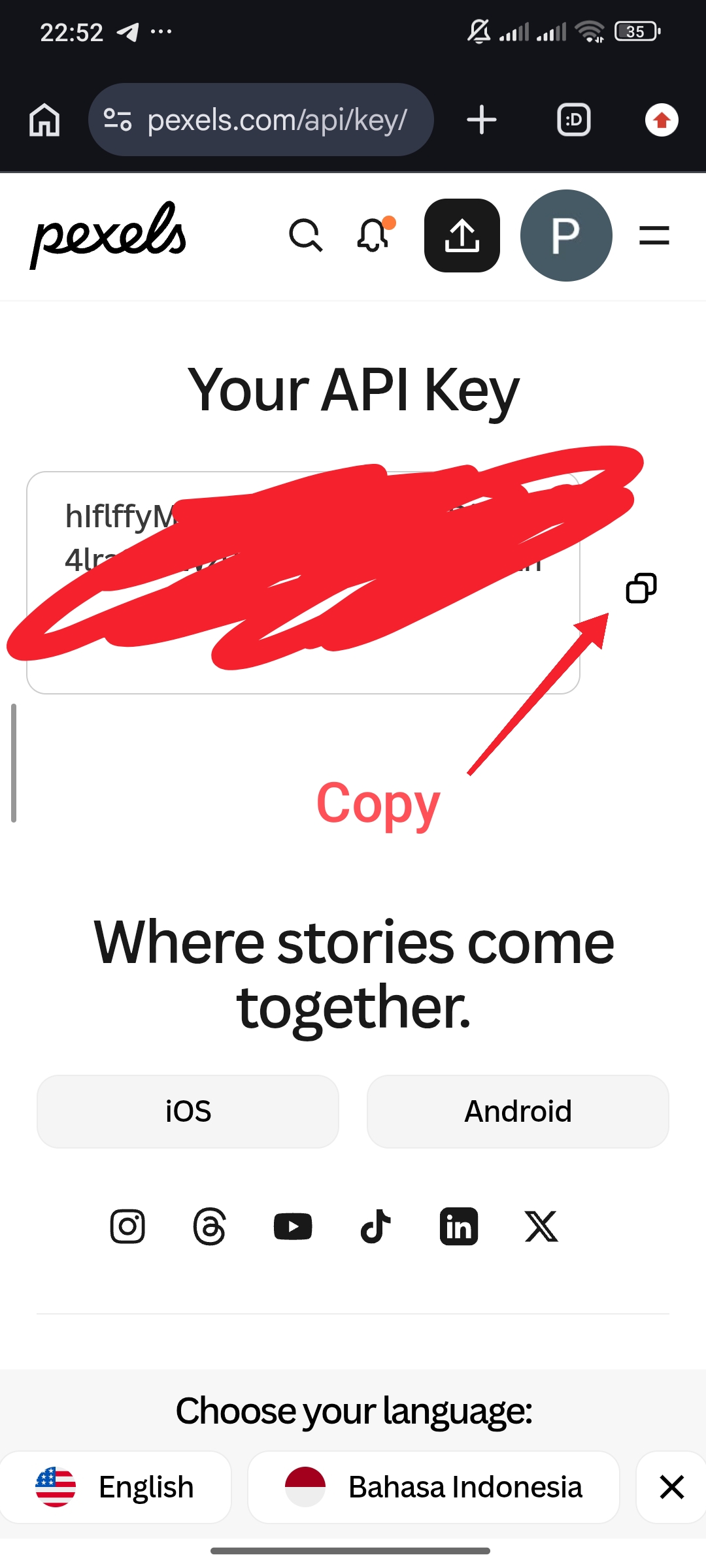Pexels Step 5